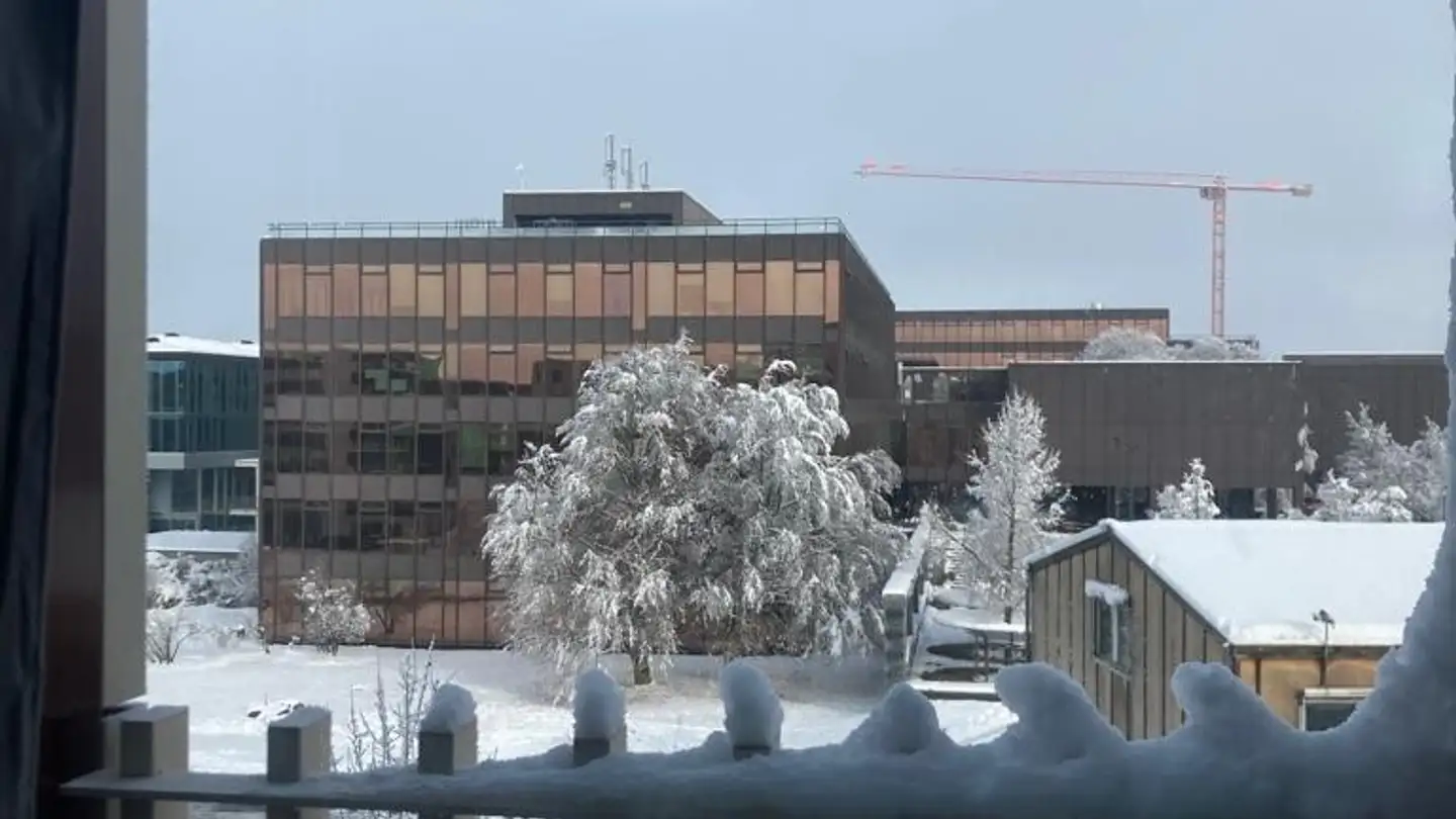 Single room for rent - Paul-Feyerabend-Hof 3, 8049 Zürich - Photo 3