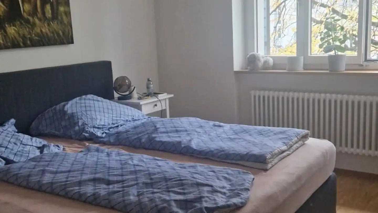 Appartamento ammobiliato in affitto - Höfliweg 17, 8055 Zürich - Foto 2