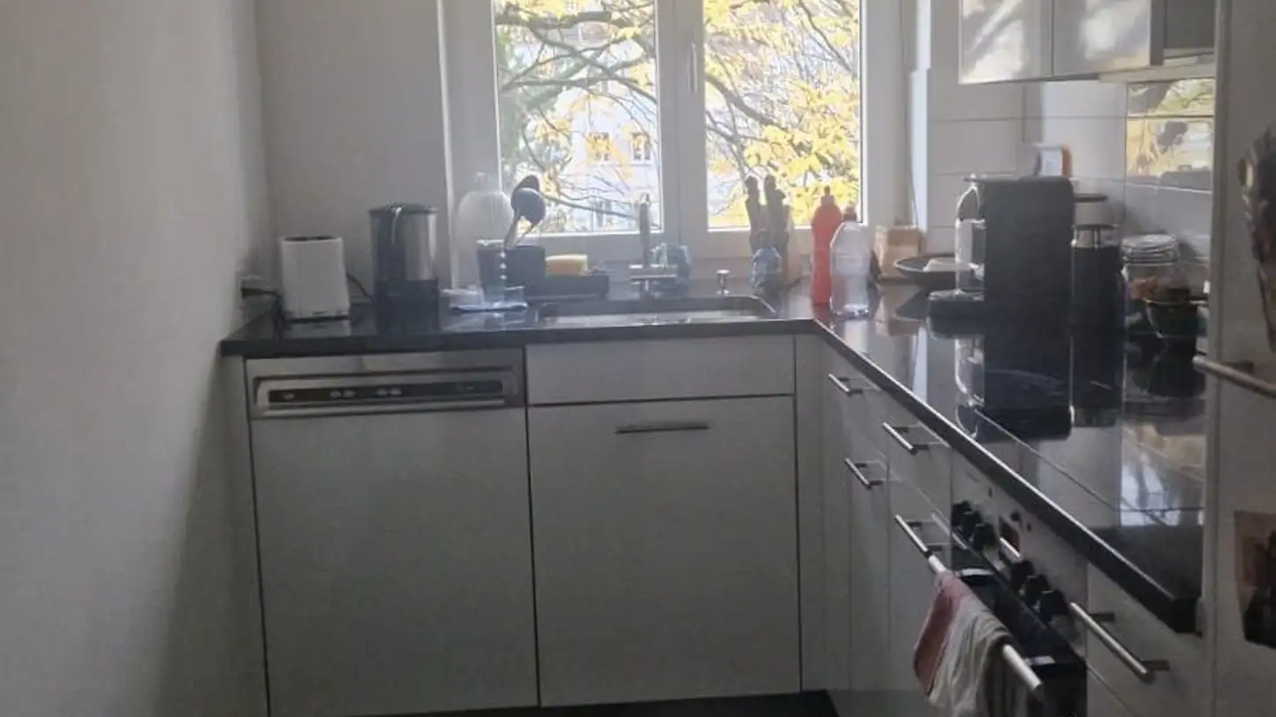 Appartamento ammobiliato in affitto - Höfliweg 17, 8055 Zürich - Foto 3