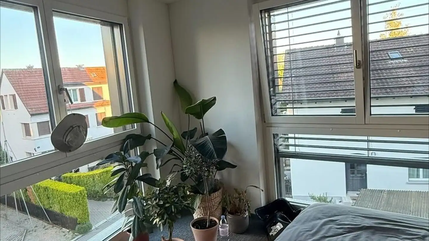 Chambre à louer - Schaffhauserstrasse 486, 8052 Zürich - Photo 2