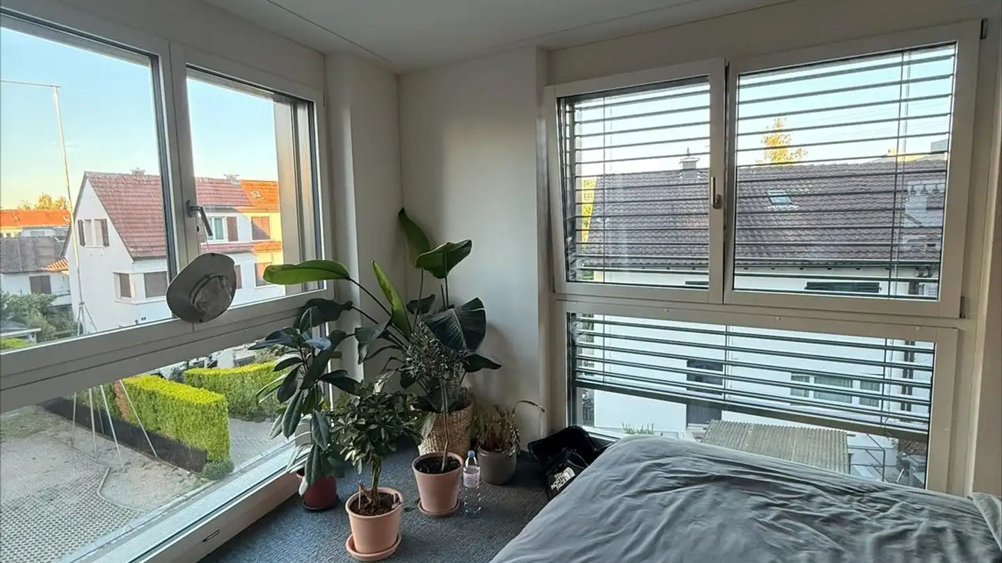 Chambre à louer - Schaffhauserstrasse 486, 8052 Zürich - Photo 3