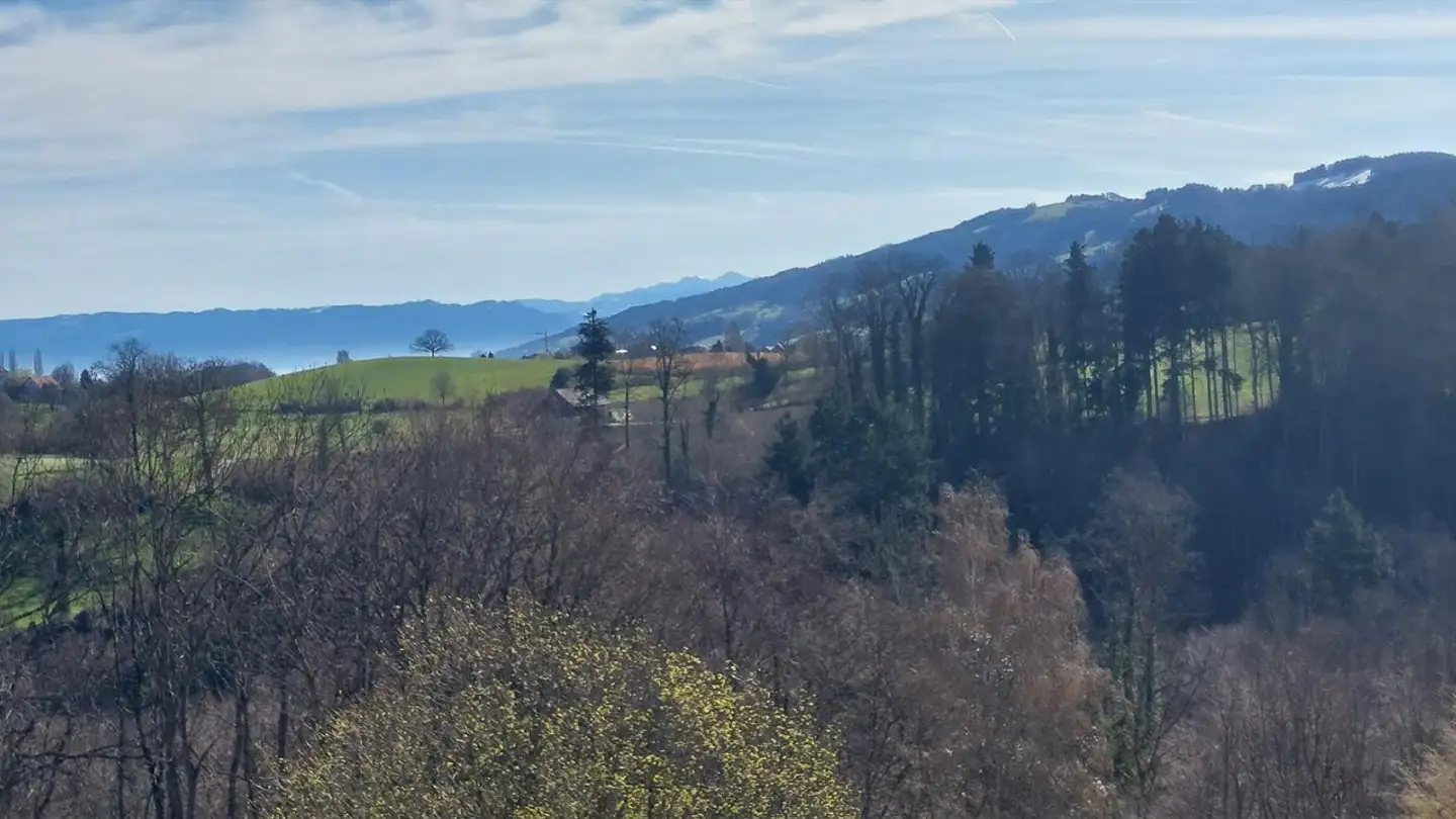 Wohnung mieten - Bruggwiesen 1, 9300 Wittenbach - Foto 3