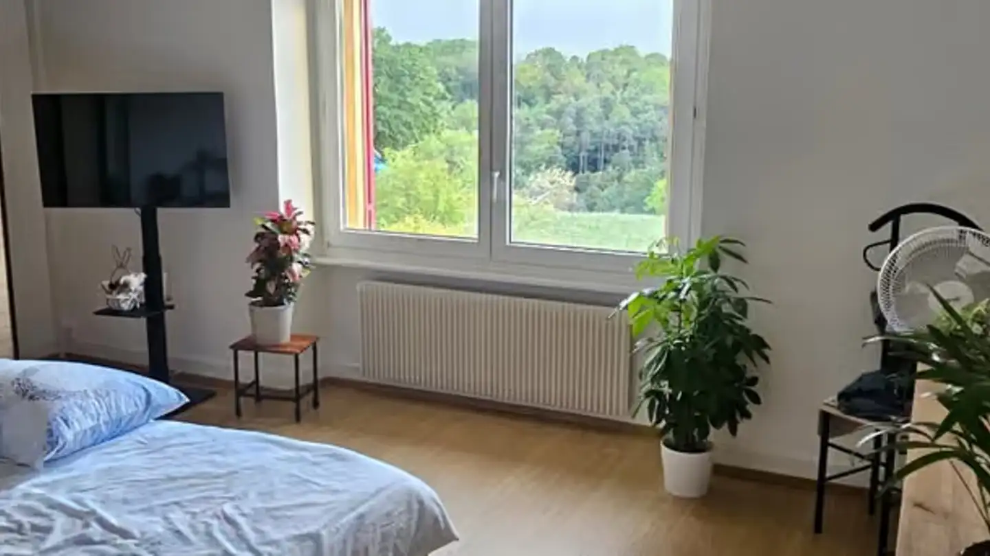 Appartement à louer - Chemin Du Bois Jolens 14, 1354 Montcherand - Photo 4