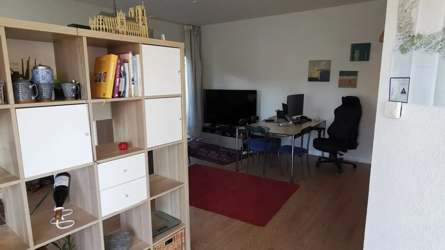 Appartement à louer - Hofwiesenstrasse 299, 8050 Zürich - Photo 3