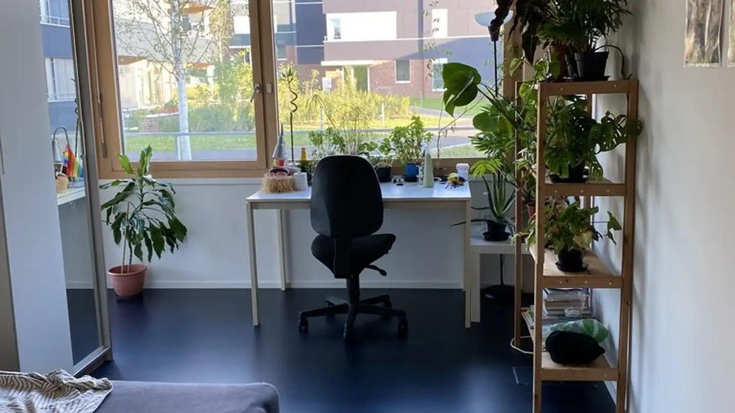 Wohnung mieten - Panoramastrasse 5, 8903 Birmensdorf ZH - Foto 3