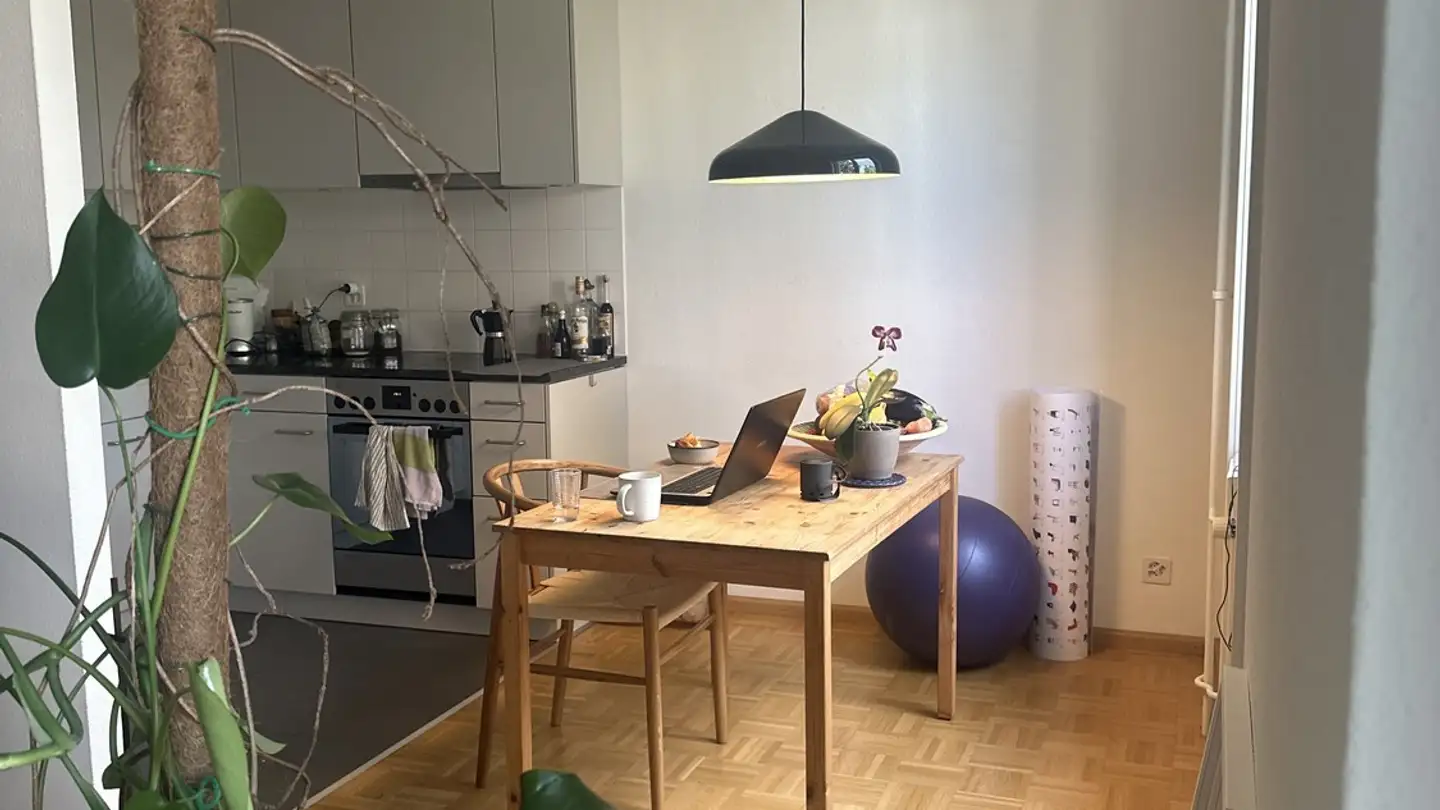 Wohnung mieten - Drahtzugstrasse 67a, 4057 Basel - Foto 3