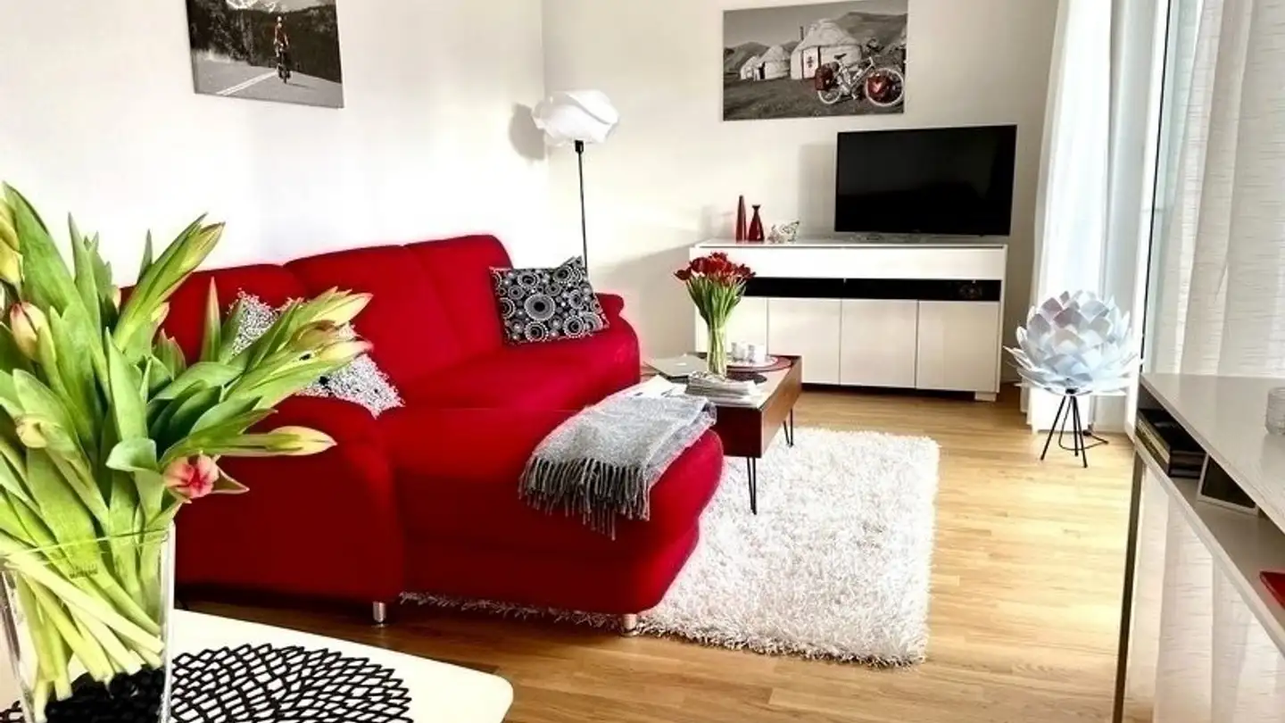 Furnished apartment for rent - 4054 Basel - Photo 3