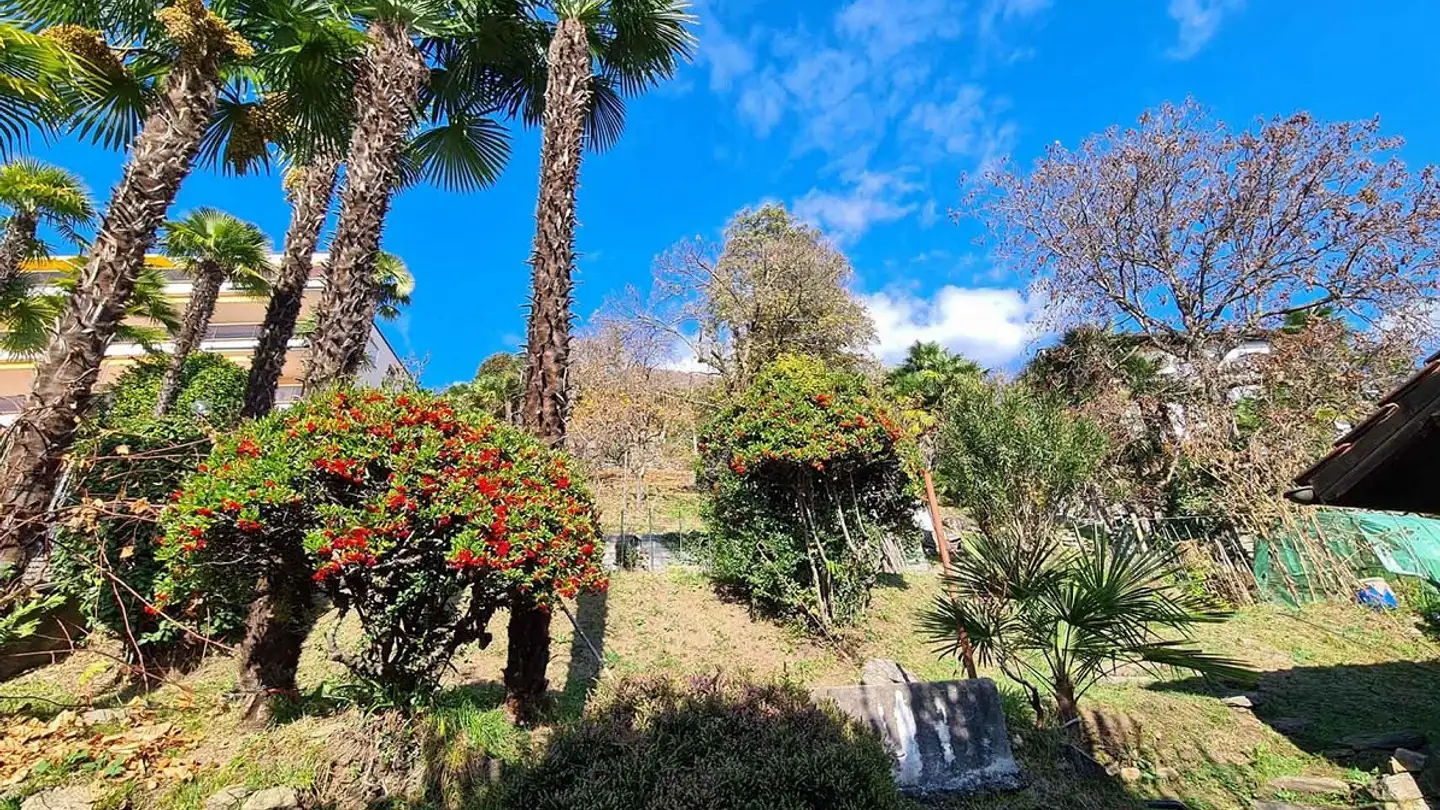 Commercial building plot for sale - 6600 Locarno - Photo 3