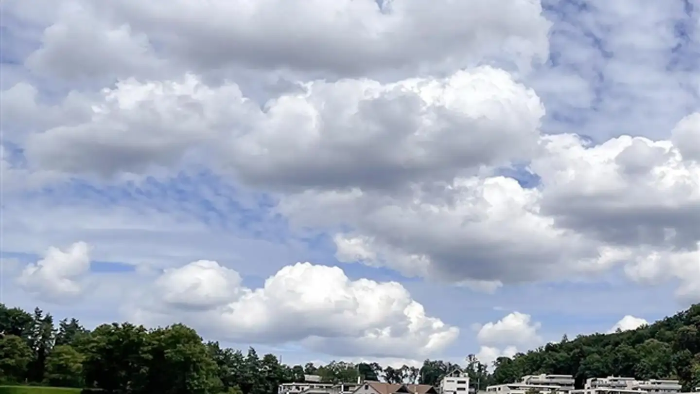 Villa in vendita - 5507 Mellingen - Photo 3