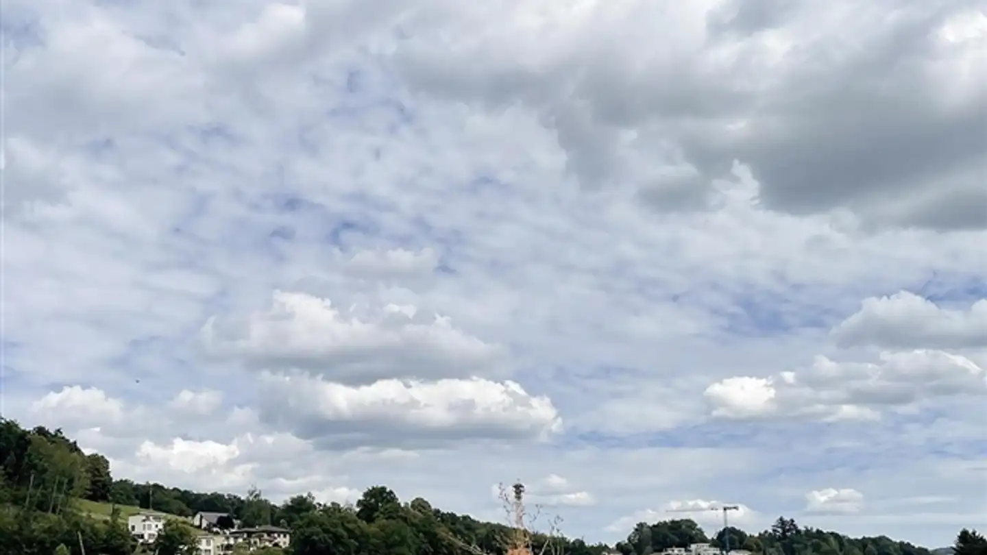 Villa à vendre - 5507 Mellingen