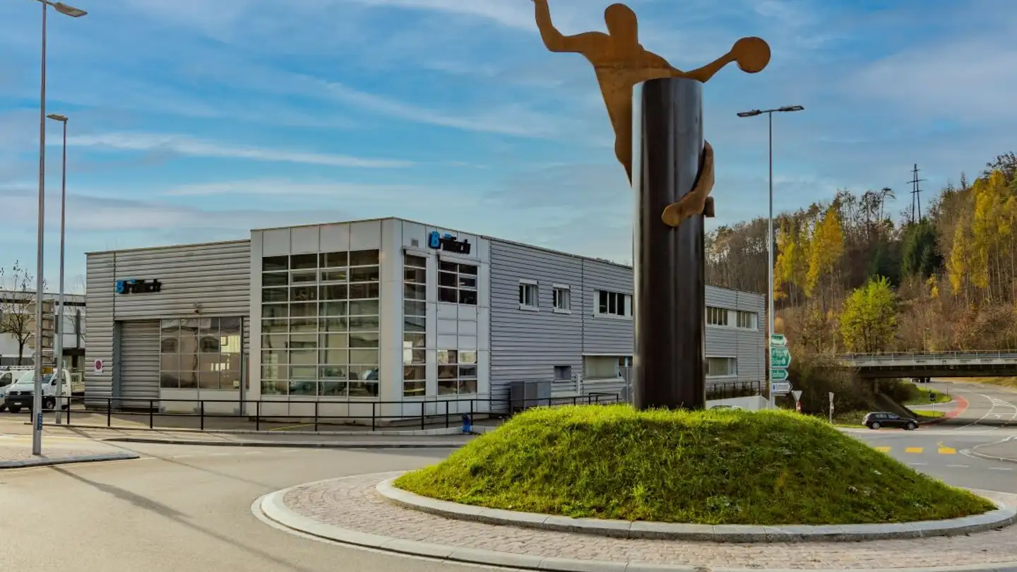 Gewerbe mieten - Schweizersbildstrasse 43, 8207 Schaffhausen