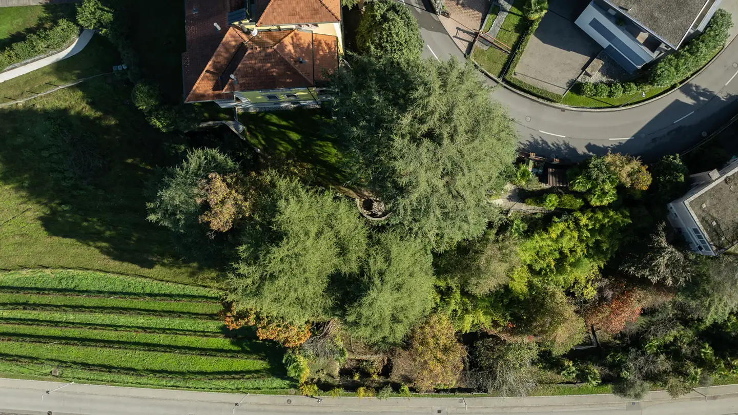 Terreno edificabile in vendita - 6834 Morbio Inferiore - Photo 2