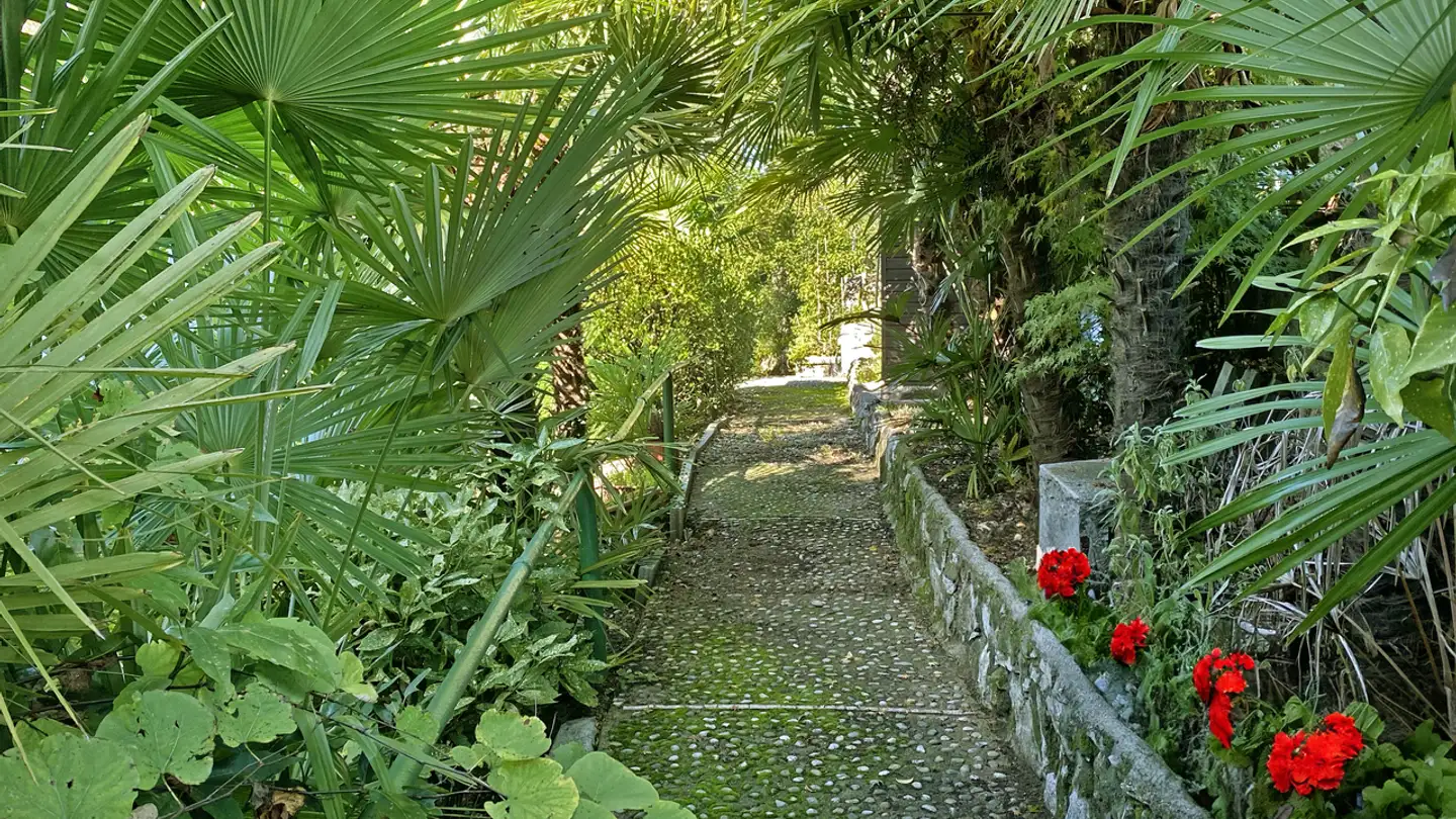 Terreno edificabile in vendita - 6834 Morbio Inferiore - Photo 3