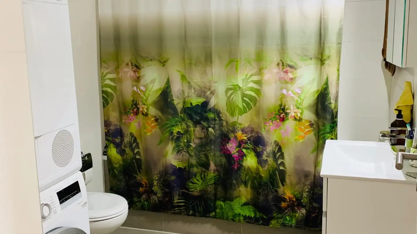 Appartamento in affitto - Chemin Des Sires, 1617 Remaufens - Foto 3