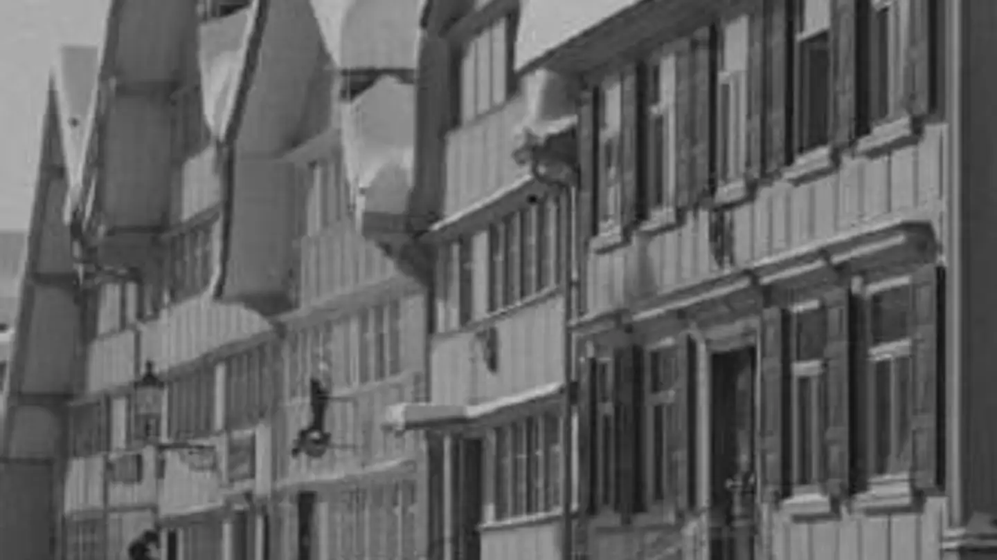 Maison en terrasse à vendre - Schmiedgasse 50, 9100 Herisau - Photo 3