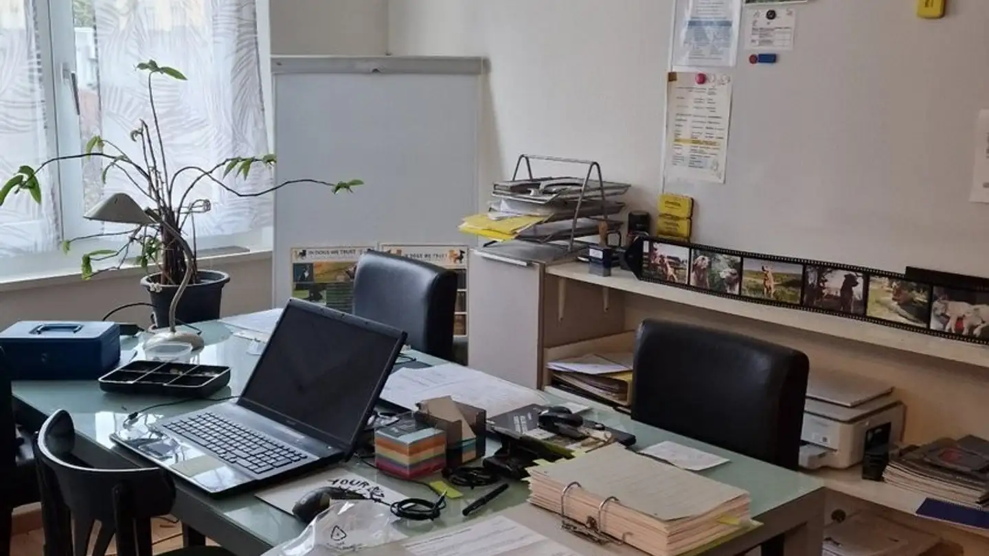 Appartement à louer - Burgdorfstrasse 12, 3422 Alchenflüh - Photo 2