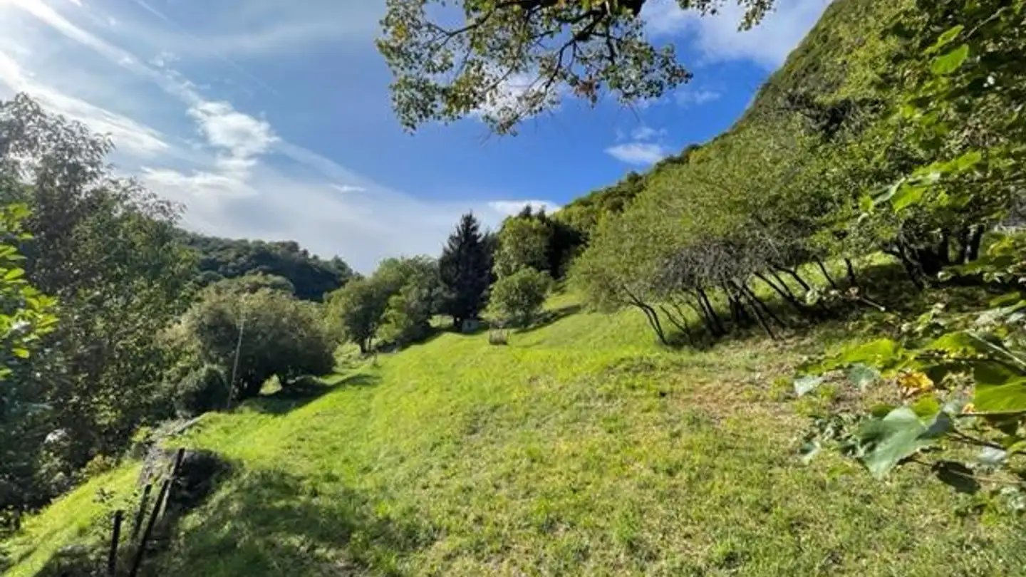 Constructible plot for sale - 6822 Arogno - Photo 2
