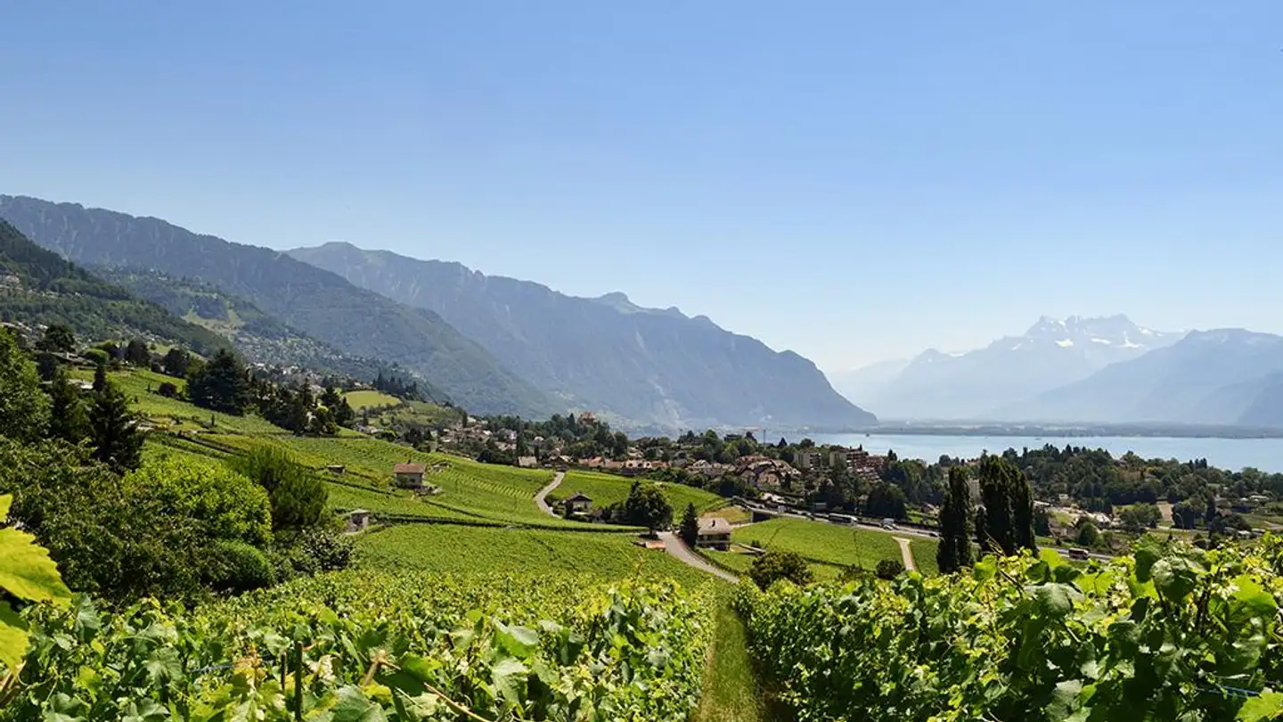 Maison individuelle à vendre - 1807 Blonay