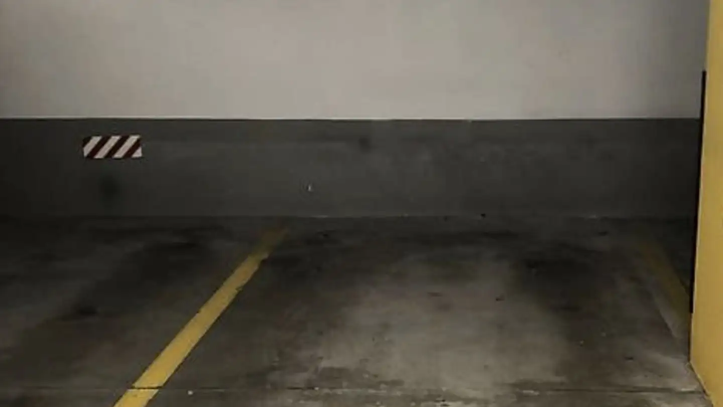 Garage individuel à louer - Greifenseestrasse 38, 8050 Zürich