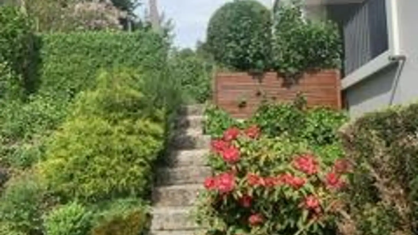 Appartement en terrasse à louer - Im Geeren 38, 8112 Otelfingen