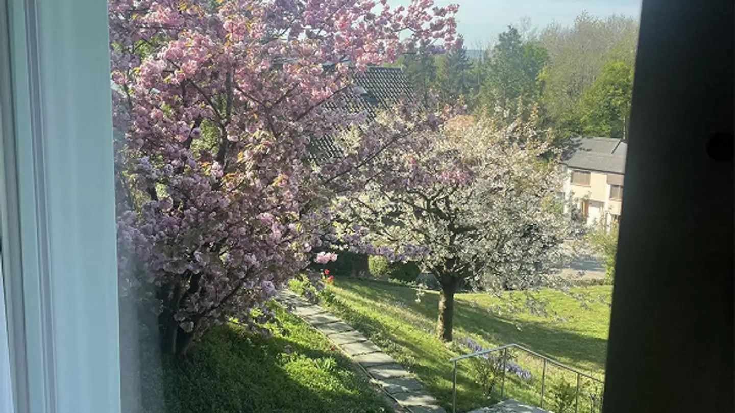 Appartement en terrasse à louer - Im Geeren 38, 8112 Otelfingen - Photo 3