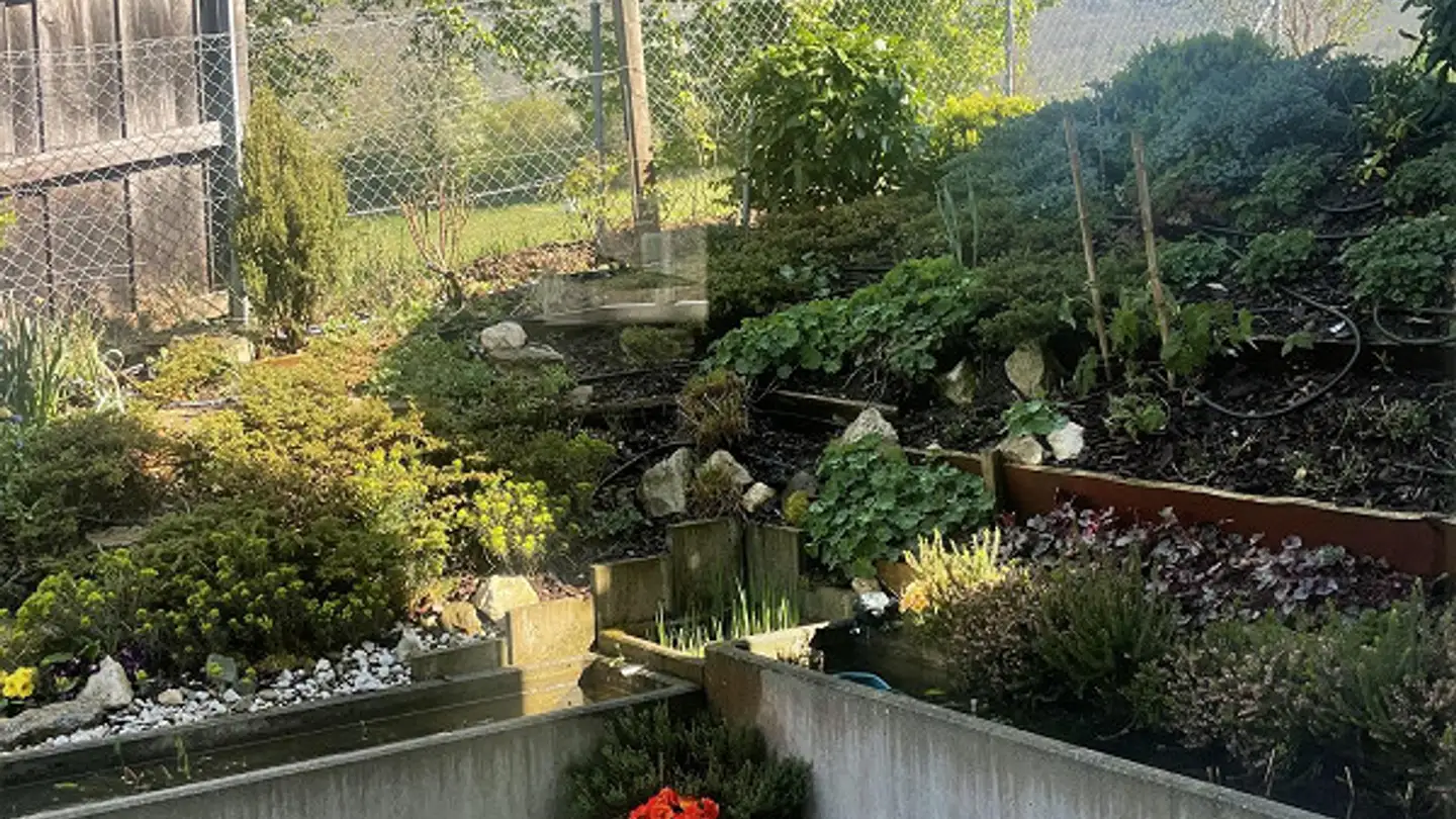 Appartement en terrasse à louer - Im Geeren 38, 8112 Otelfingen - Photo 4