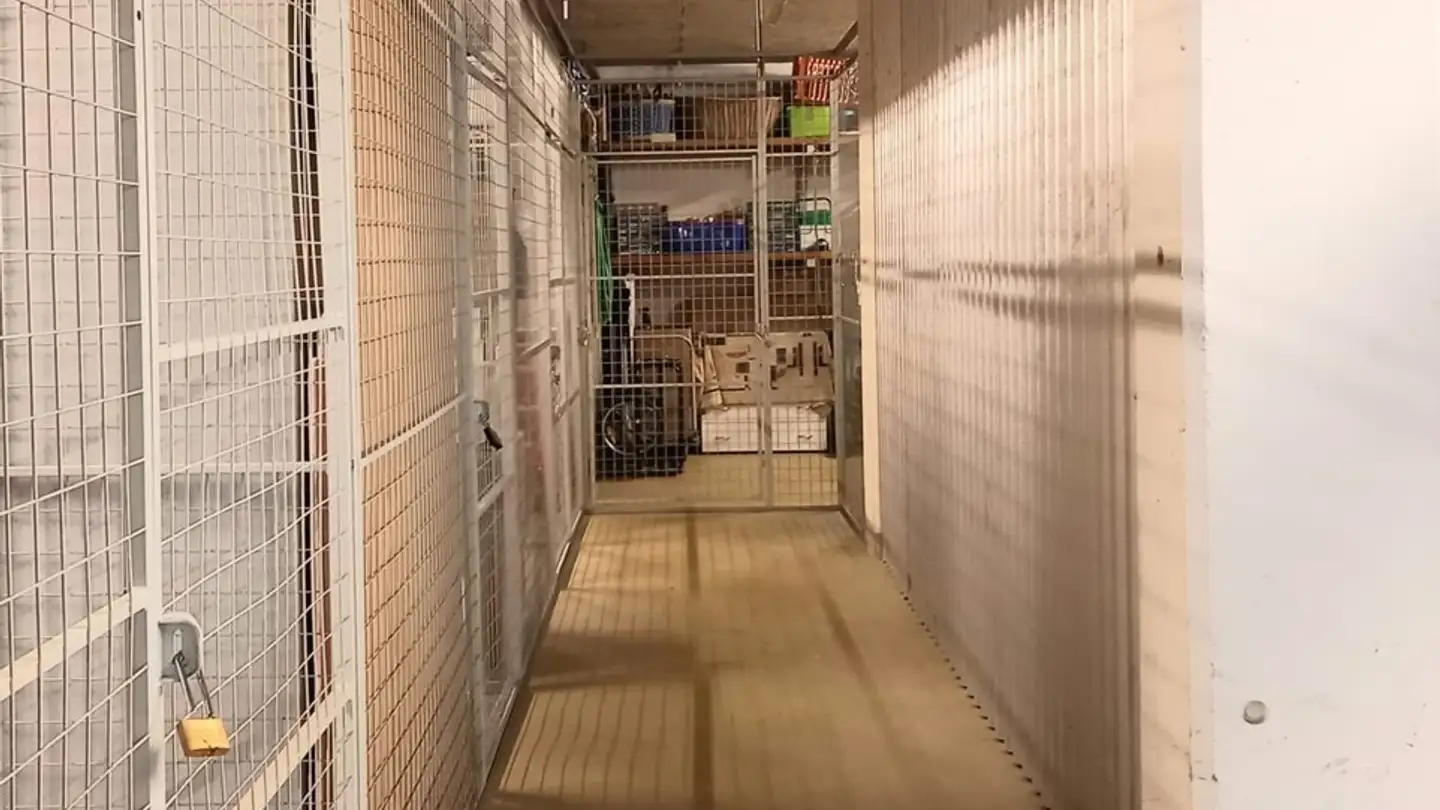 Commercial for rent - Rietweg 25, 8477 Oberstammheim