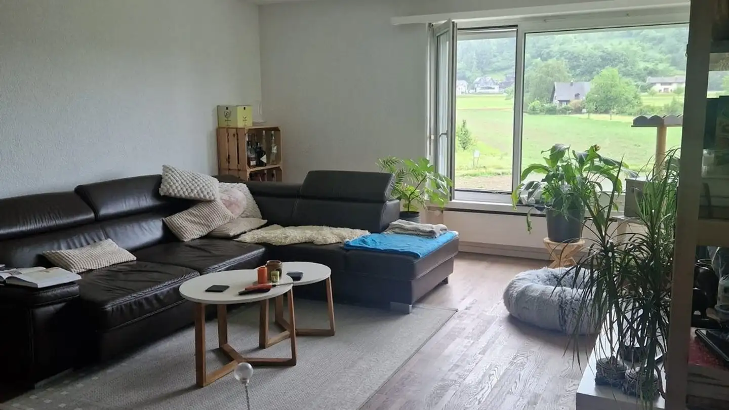 Appartamento in affitto - Lindenstrasse, 9424 Rheineck