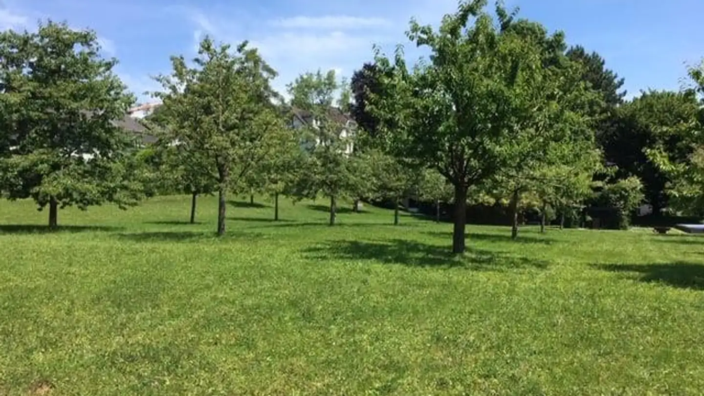 Wohnung mieten - Gasterstrasse 4, 8730 Uznach - Foto 2