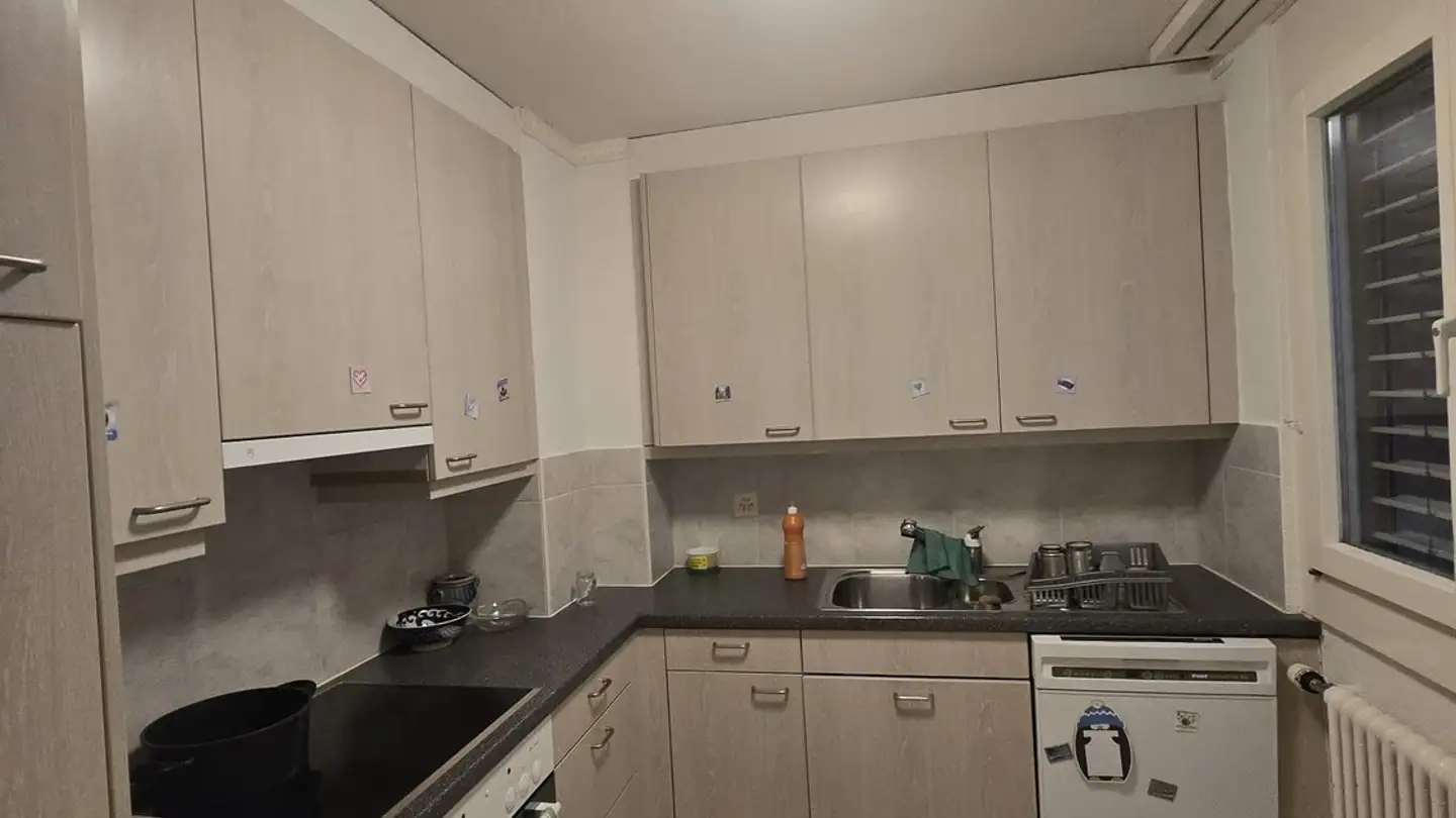 Appartamento in affitto - Zelglistrasse 1, 8046 Zürich - Foto 2