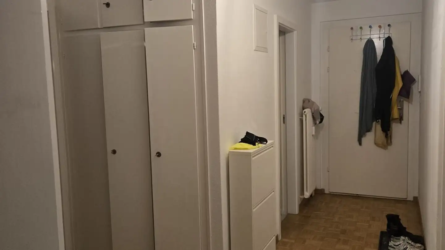 Appartamento in affitto - Zelglistrasse 1, 8046 Zürich - Foto 4