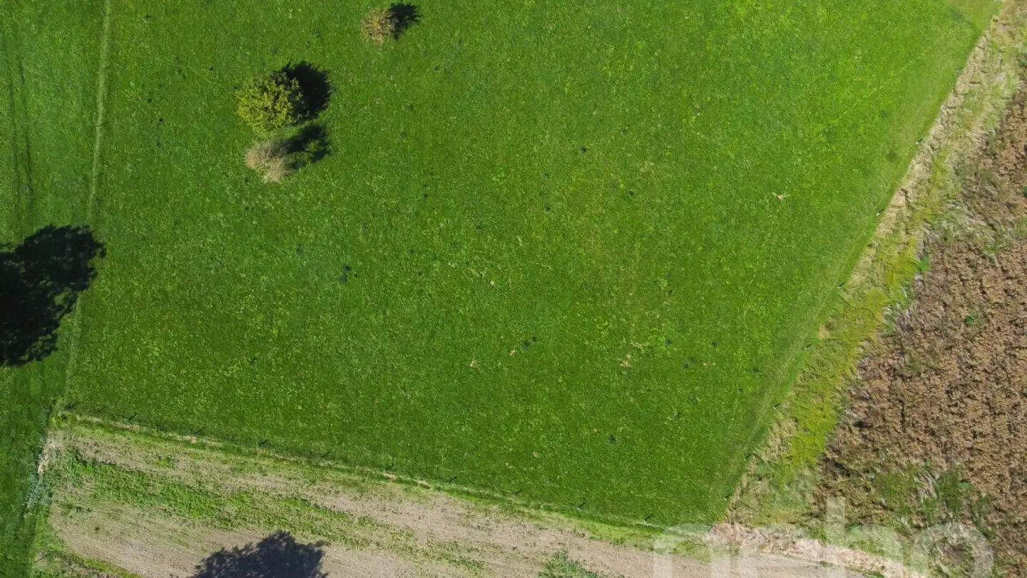 Terreno edificabile in vendita - 1306 Daillens - Photo 4