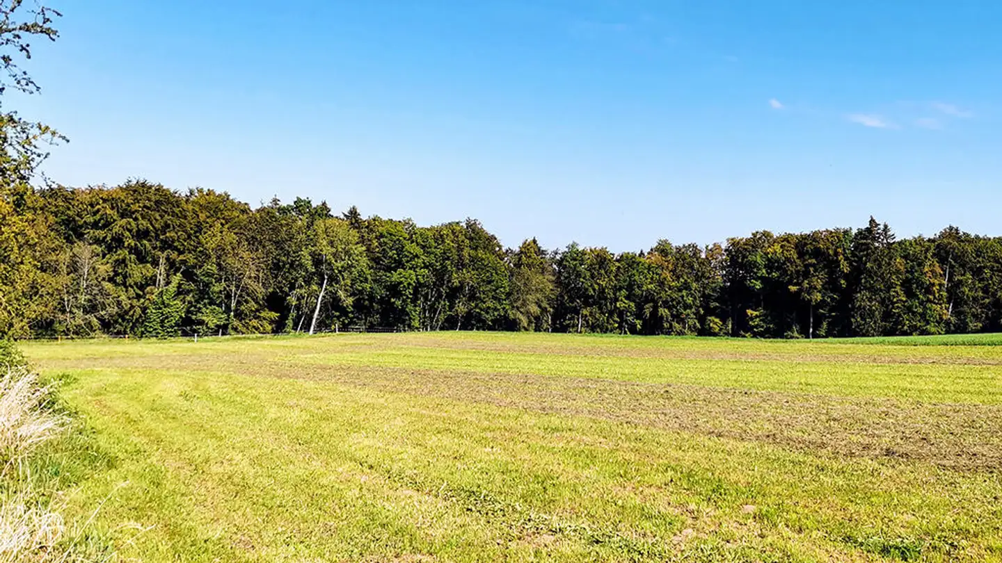 Single house for sale - 1776 Montagny-la-Ville - Photo 2