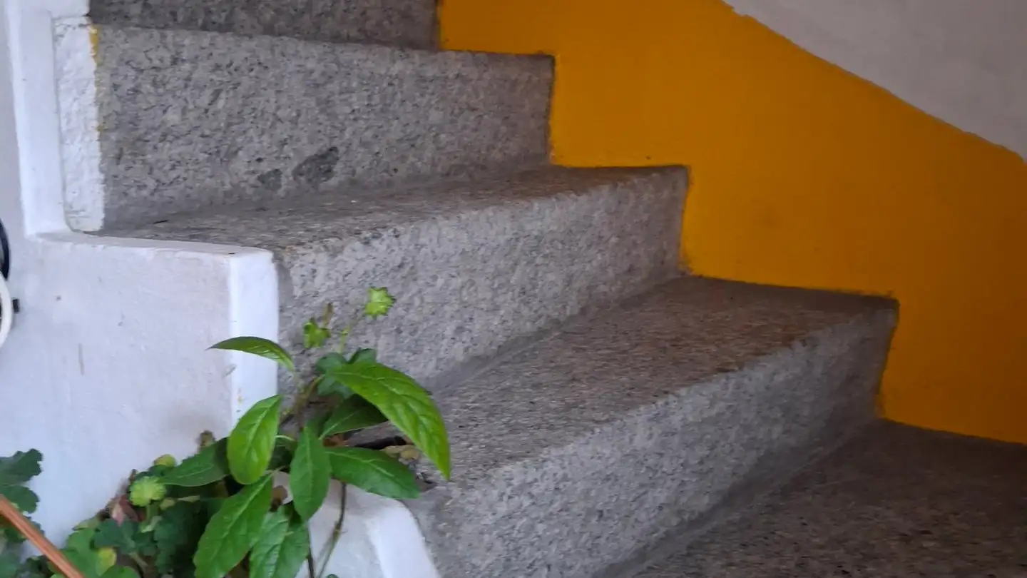 Single house for sale - 1932 Bovernier - Photo 3