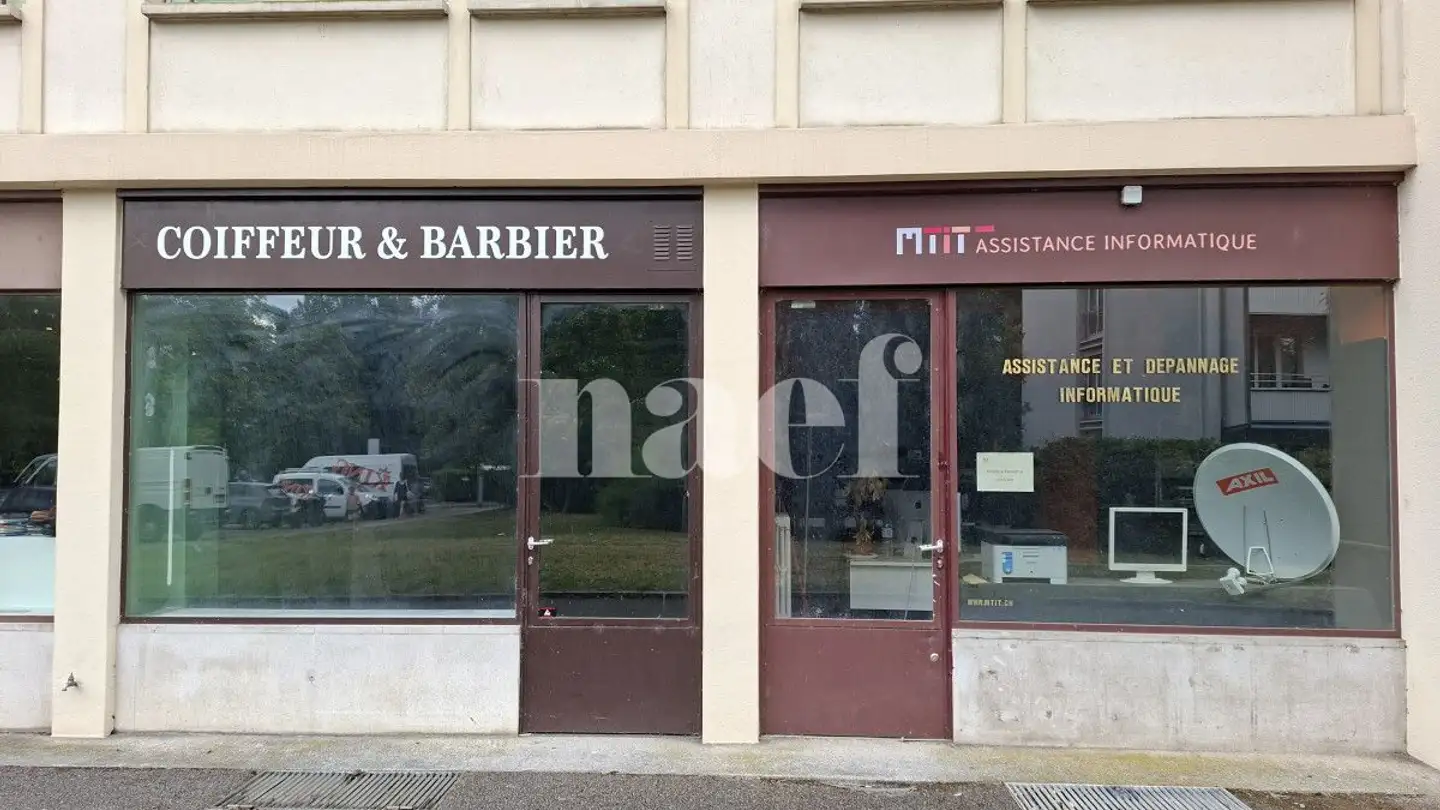 Commerciale in affitto - Rue Du Vidollet 21, 1202 Genève - Foto 2