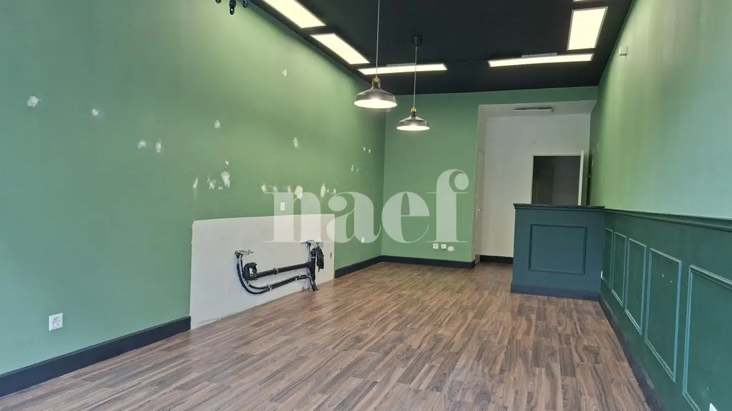 Commerciale in affitto - Rue Du Vidollet 21, 1202 Genève - Foto 4