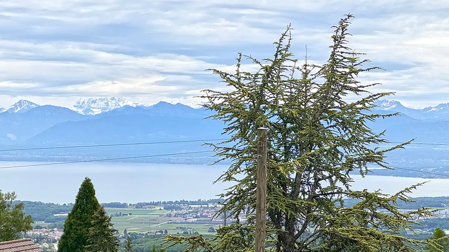 Single house for sale - 1272 Genolier - Photo 4