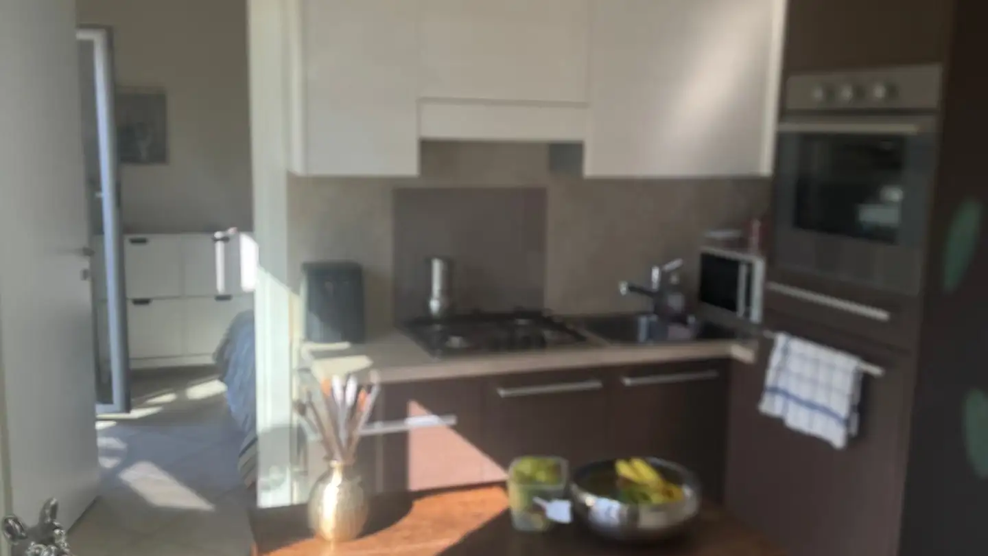 Apartment for sale - 6986 Novaggio - Photo 4