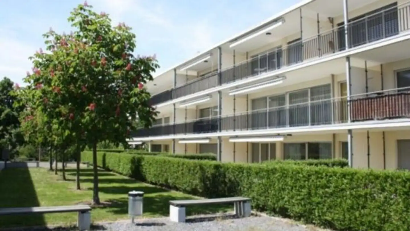 Attique à louer - Südstrasse 3, 8570 Weinfelden - Photo 3