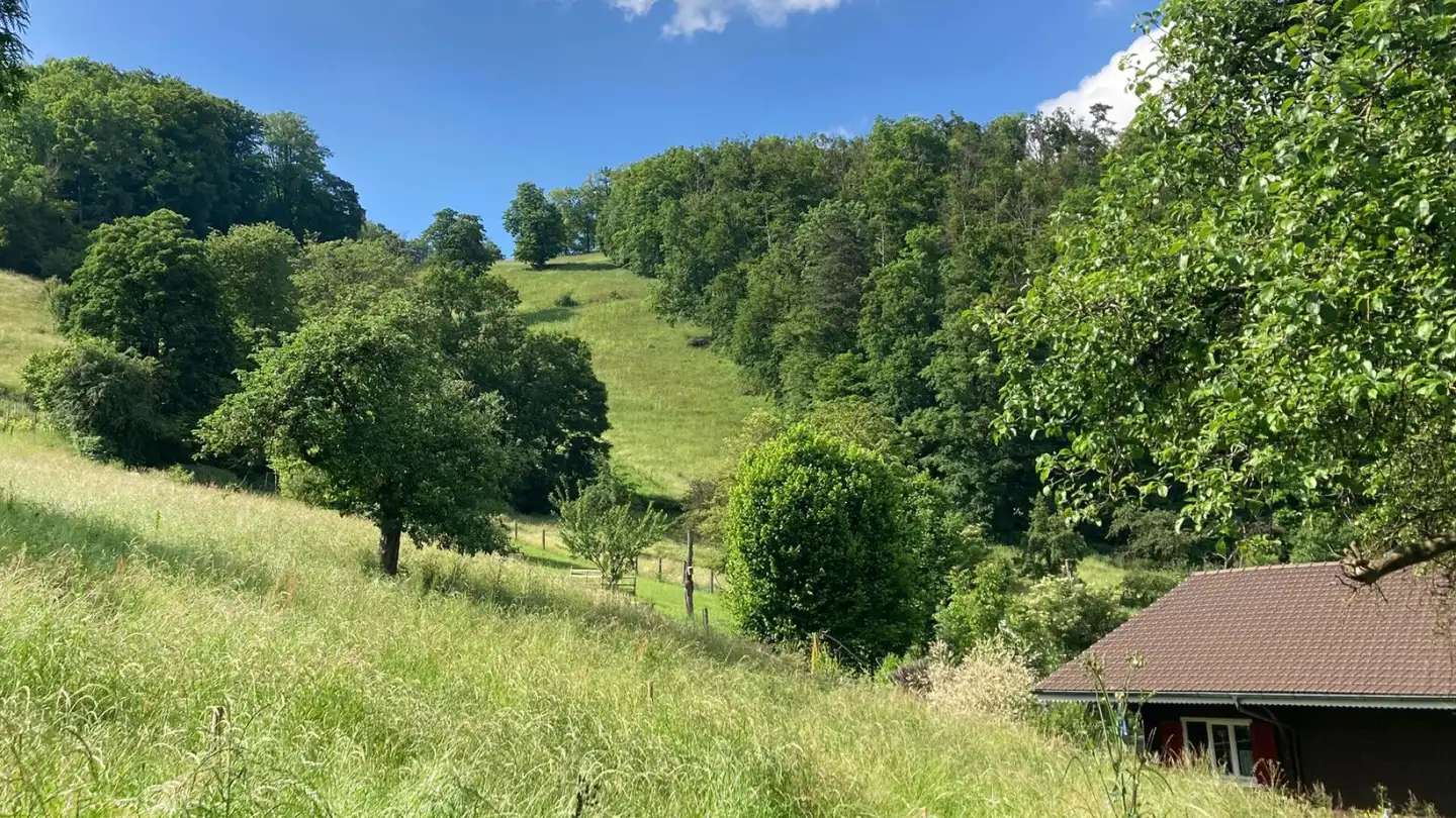 Terreno edificabile in vendita - Sandhübelstrasse, 5505 Brunegg - Photo 4