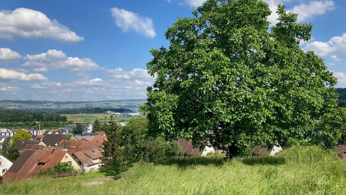Terreno edificabile in vendita - Sandhübelstrasse, 5505 Brunegg - Photo 3