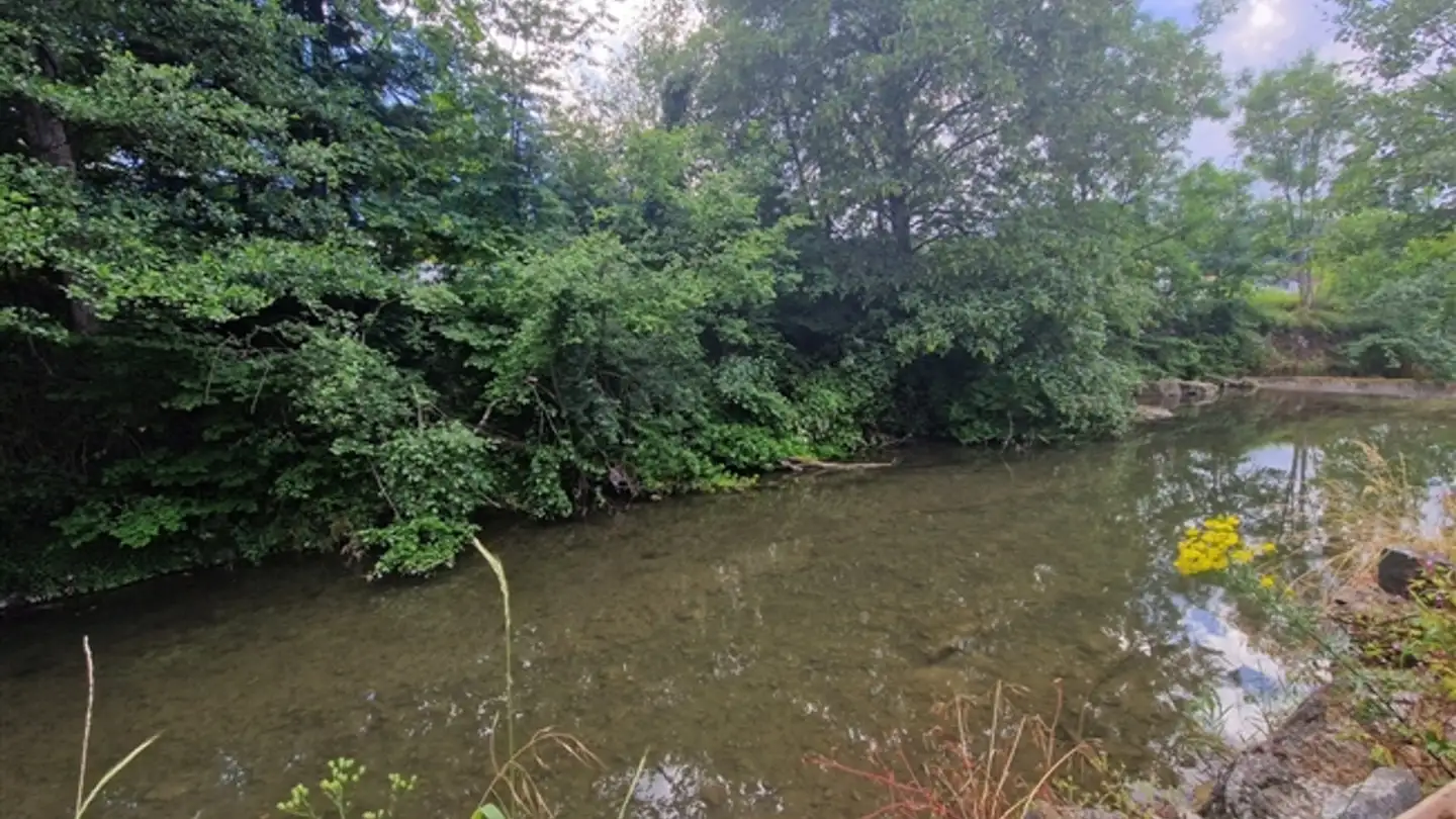 Single house for sale - 2830 Courrendlin