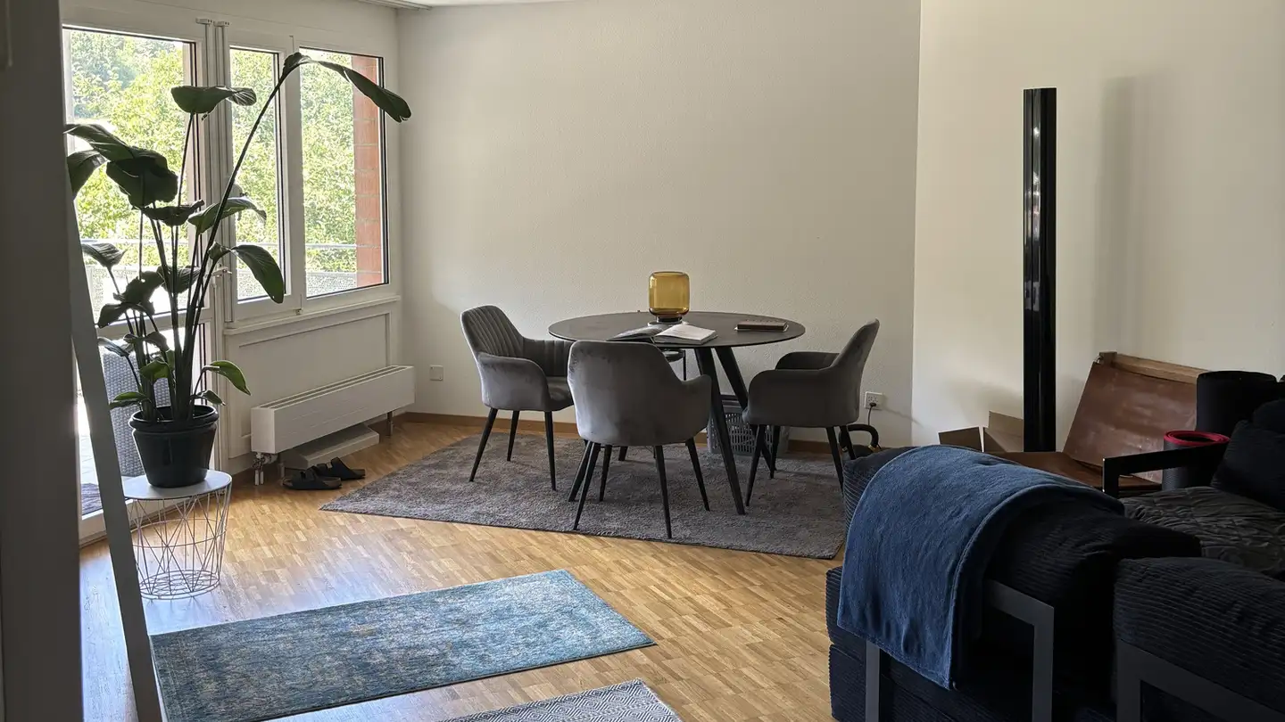 Apartment for rent - 6333 Hünenberg See