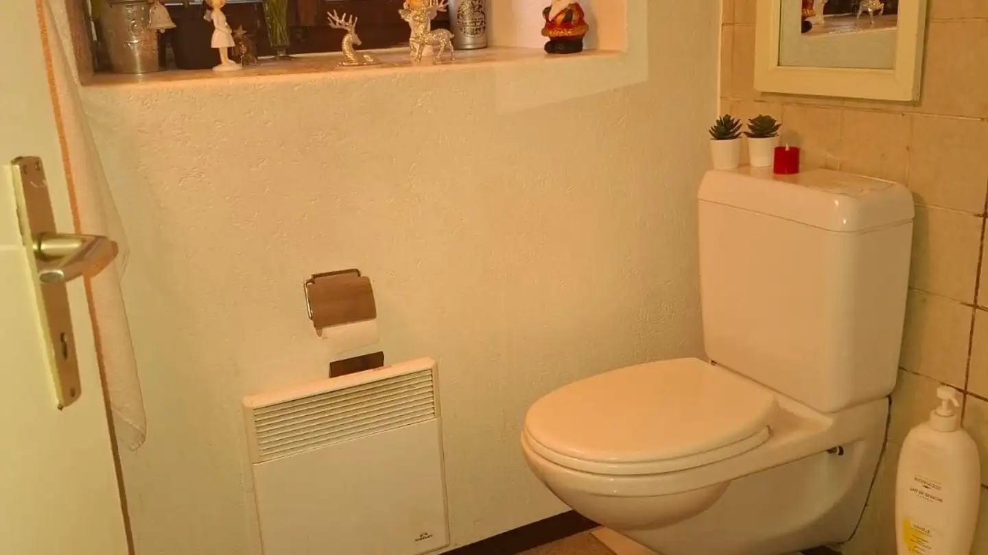 Studio in affitto - Rue la Grand-Fontaine 16, 1700 Fribourg - Foto 4