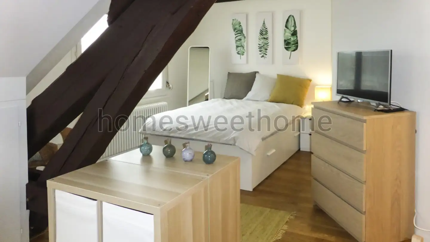 Appartamento ammobiliato in affitto - Rue Des Charmilles, 1203 Genève - Foto 3