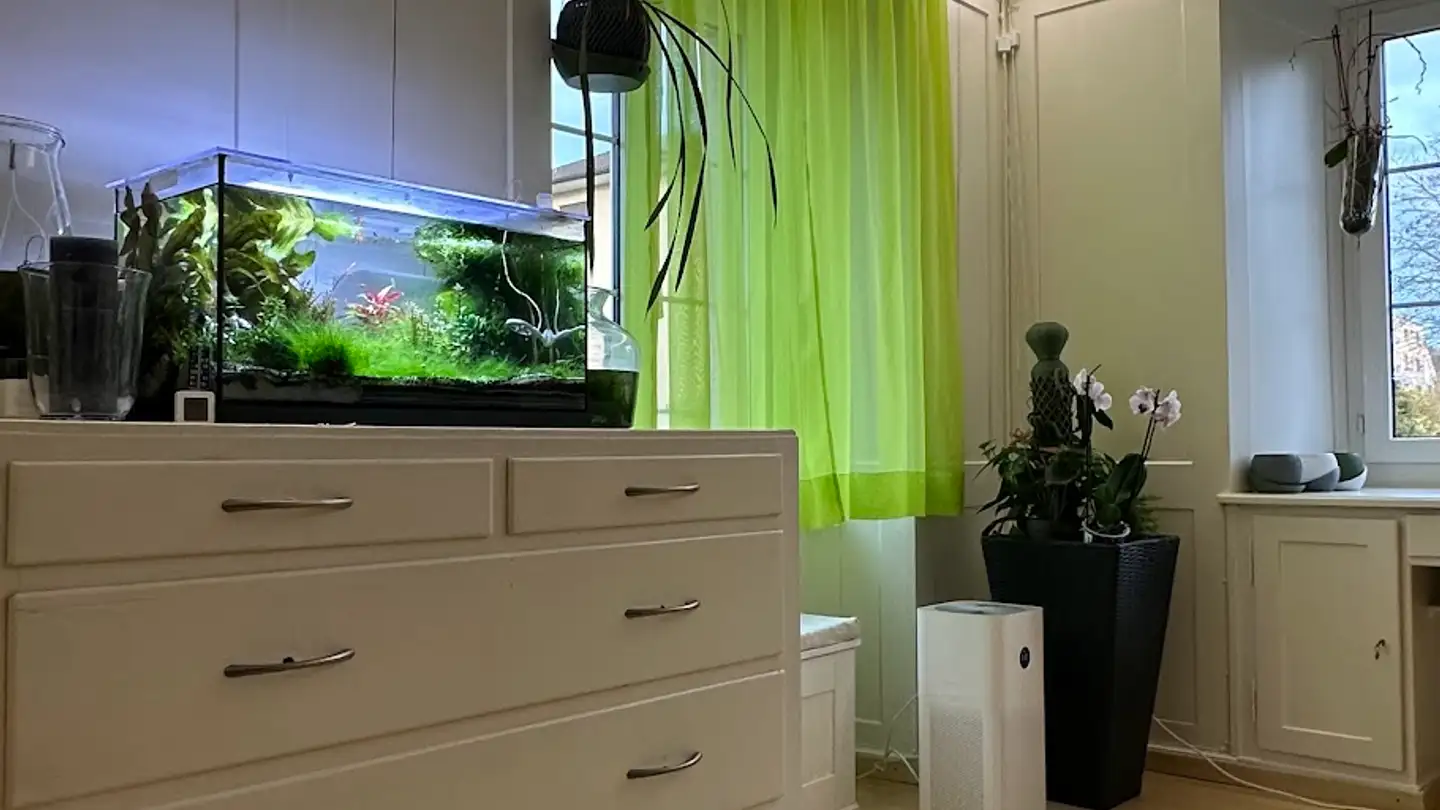 Single room for rent - Dorfstrasse 70, 8302 Kloten - Photo 4