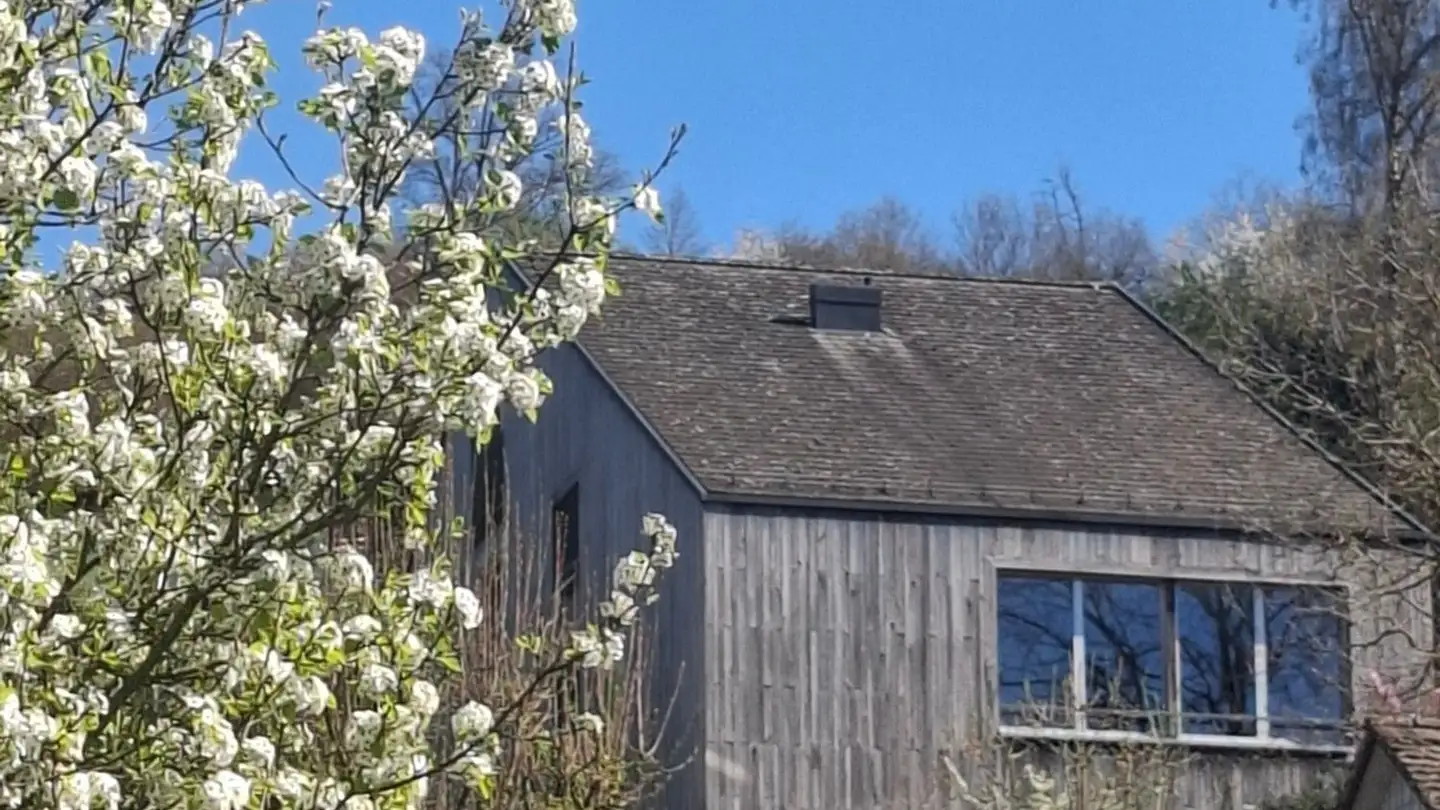 Maison jumelle à louer - 8903 Birmensdorf ZH - Photo 2