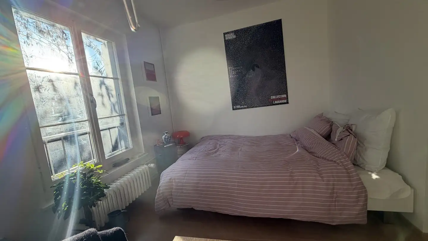 Appartamento in affitto - 1227 Carouge GE - Foto 2