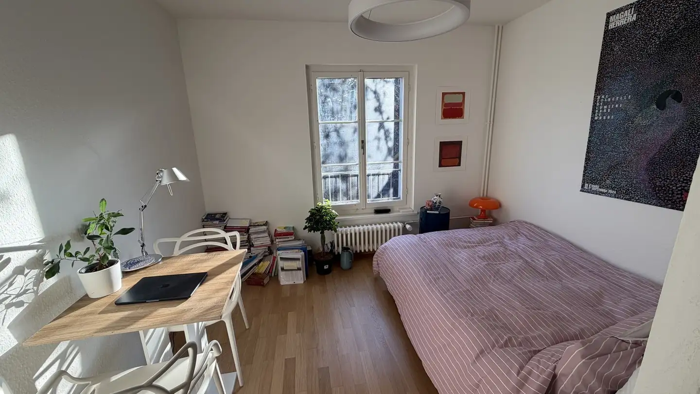 Appartamento in affitto - 1227 Carouge GE