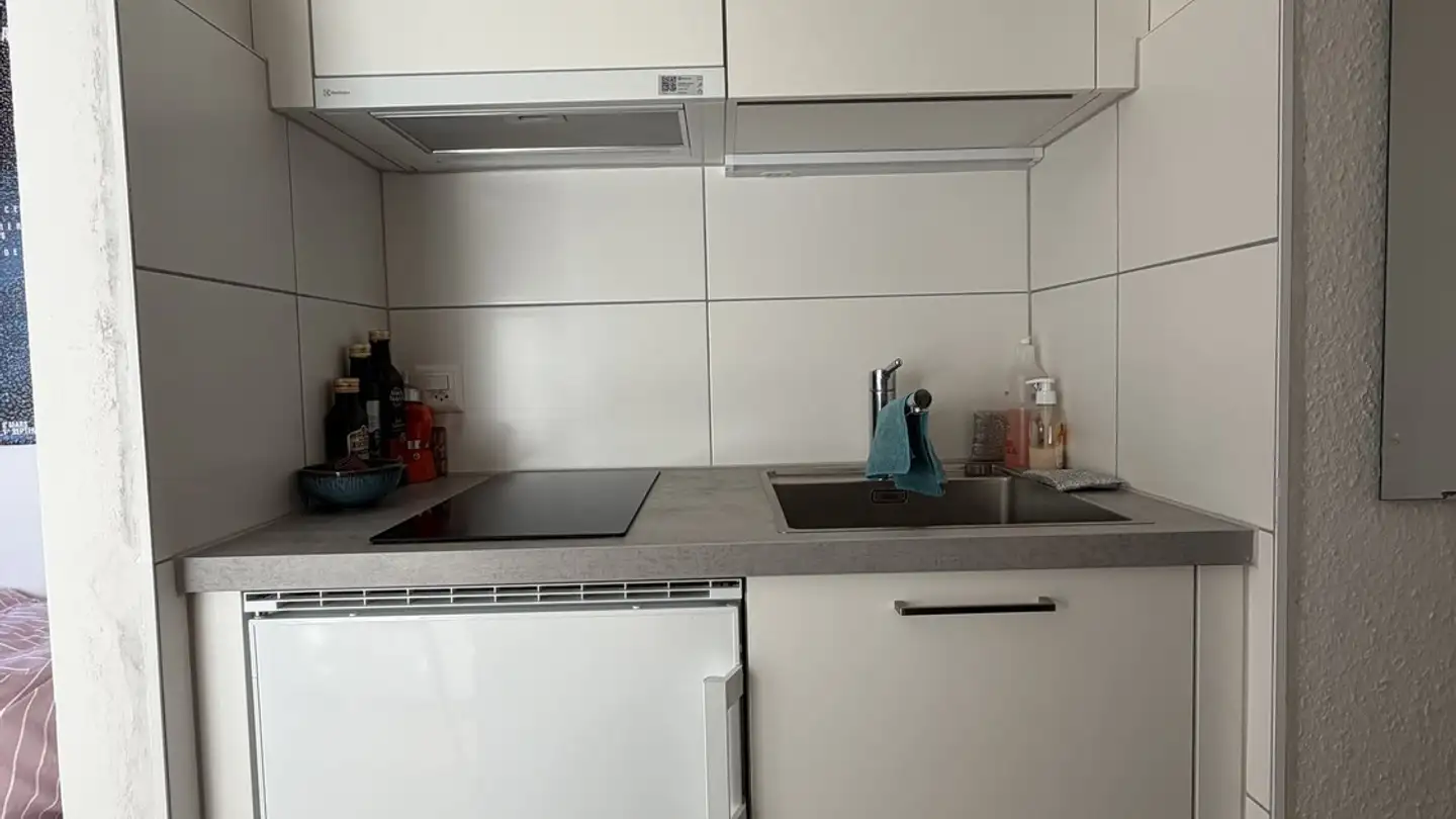 Appartamento in affitto - 1227 Carouge GE - Foto 4